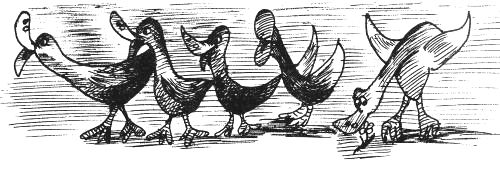 Ducks