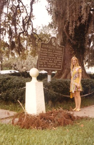 Evangeline Oak