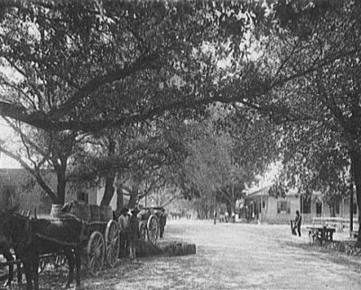 Washington Avenue