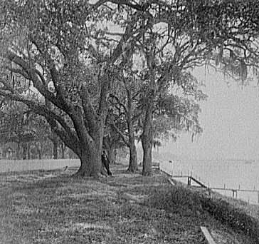 Shore at Ocean Springs