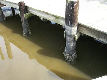 Calabash, NC