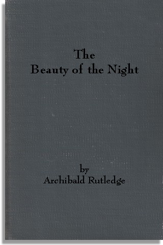 The Beauty of the Night (re-bound example)