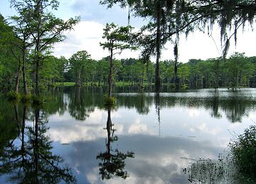 Page's Mill Pond