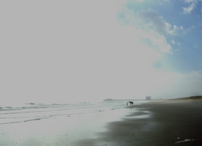 Myrtle Beach State Park