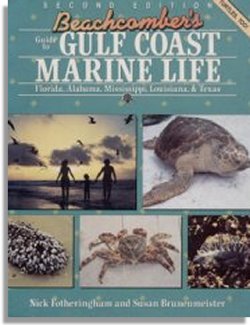 Beachcomber's Guide to Gulf Coast Marine Life (Gulf Publishing Co.)