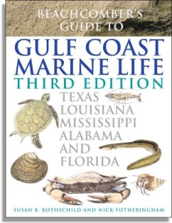 Beachcomber's Guide to Gulf Coast Marine Life (Taylor Trade Publishing)