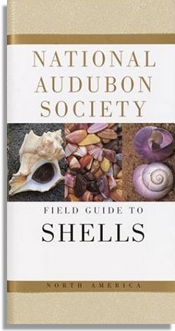 National Audubon Society Field Guide to North American Seashells (Alfred A. Knopf)
