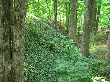 Earthworks